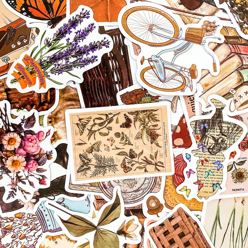 Puede incluir: Una colecci&oacute;n de pegatinas de estilo vintage con dise&ntilde;os florales, mariposas, una bicicleta e ilustraciones bot&aacute;nicas. Las pegatinas est&aacute;n impresas en papel blanco con un acabado mate.