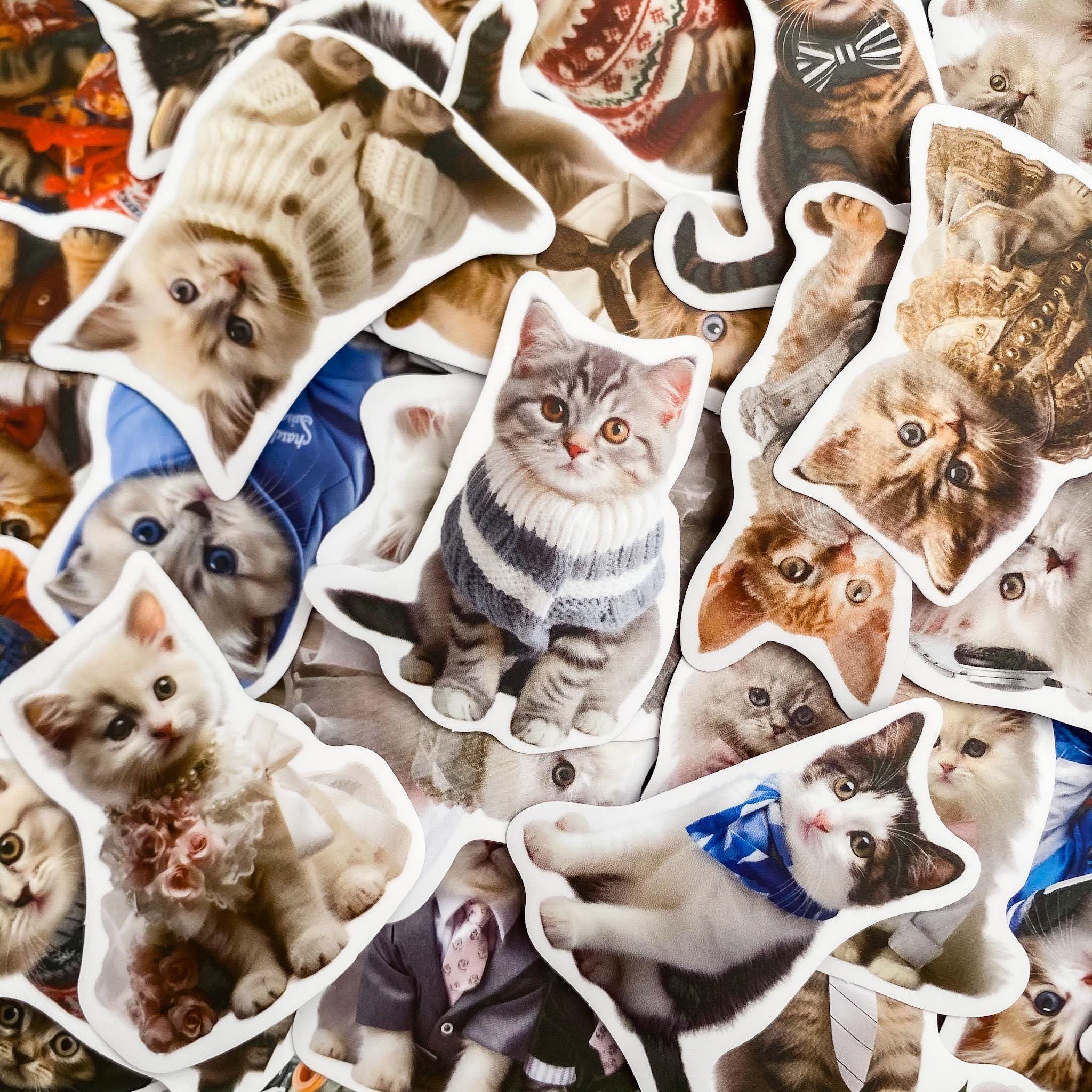 50pcs Kawaii Cat Stickers, Cute Kitty Stickers, Waterproof Kitten ...