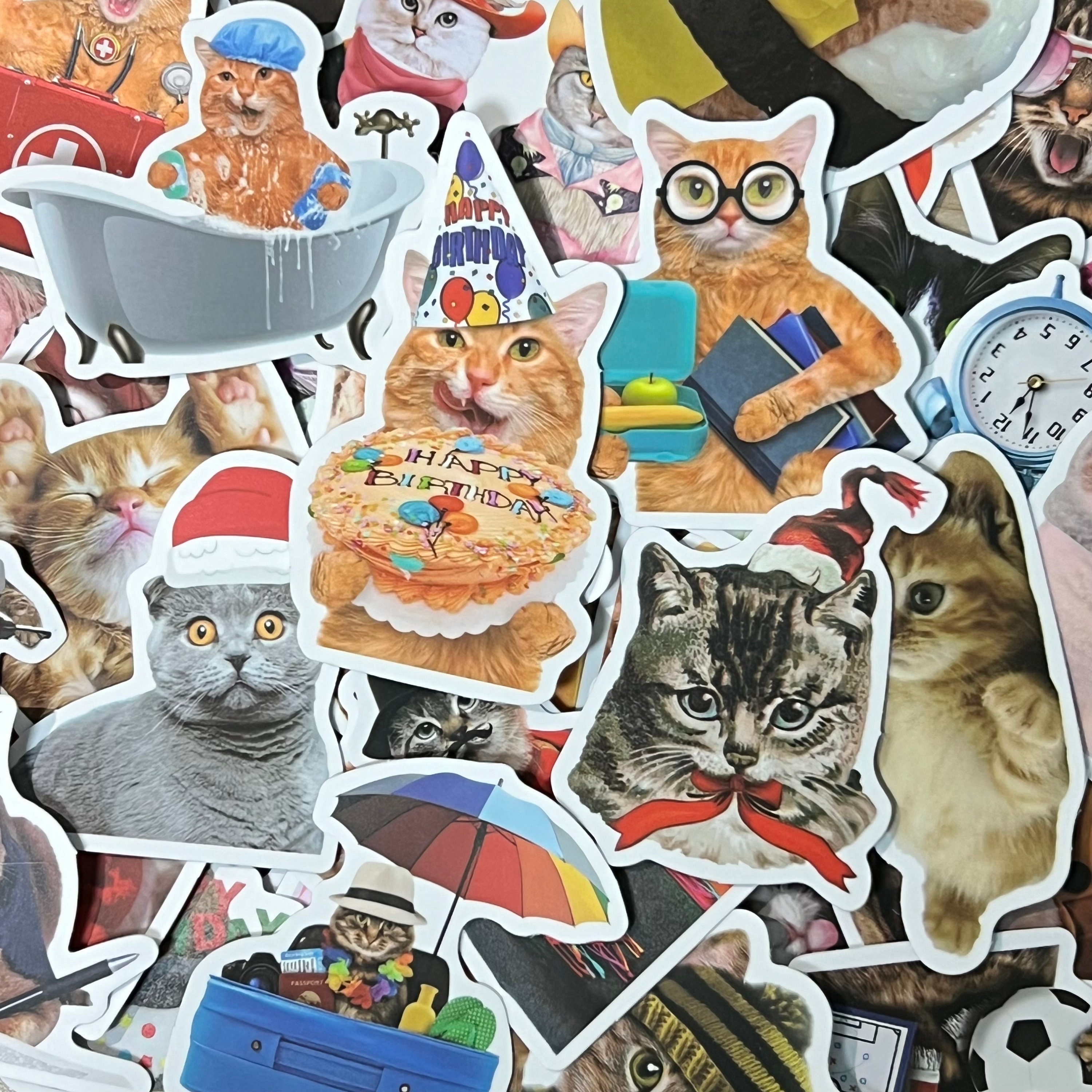 202 Stück Meme-Sticker Katzen – Wasserdichtes PVC-Set – Lustige Aufkleber Für Laptop, Wasserflasche, Notizbuch & Koffer