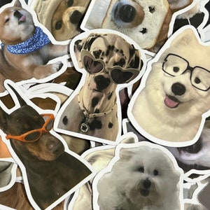 Lot de 100 autocollants pour chien, lot d'autocollants mignons pour bouteille de livres Kindle, lot d'autocollants de chien pour les amoureux des chiens, lot d'autocollants imperméables adorables