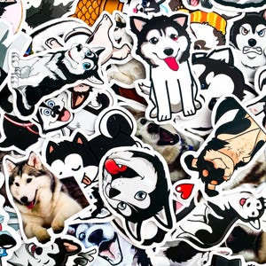 100 autocollants vinyle chien Husky, imperméables mignons, autocollants chien rigolos, autocollants animaux, lot d'amoureux des animaux de compagnie, lot d'autocollants husky