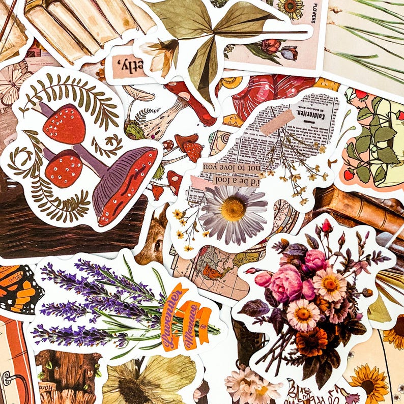 Puede incluir: Surtido de pegatinas coloridas con dise&ntilde;os florales, hongos e ilustraciones bot&aacute;nicas. Las pegatinas tienen una est&eacute;tica vintage e incluyen texto como "I'd be a fool not to love you" y "Menace".