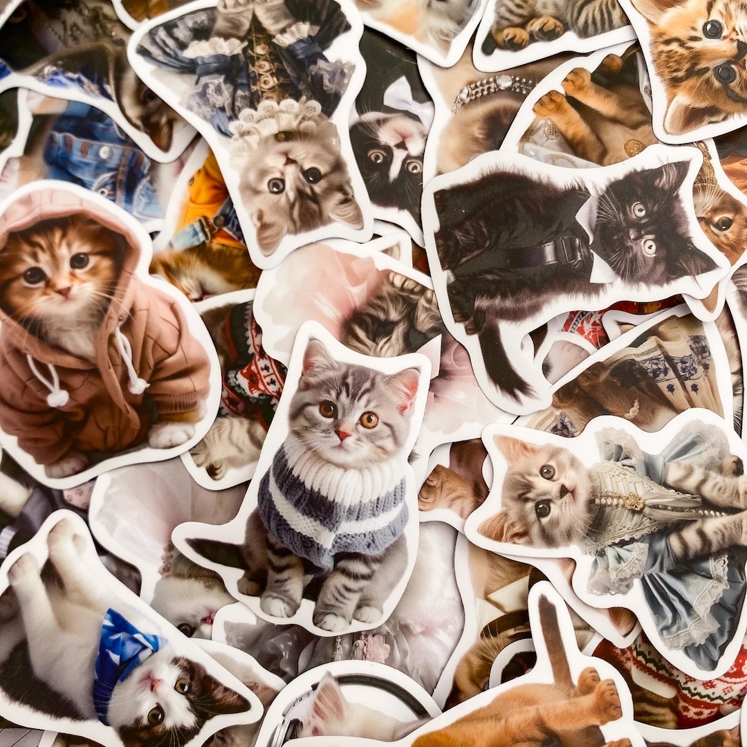 50pcs Kawaii Cat Stickers, Cute Kitty Stickers, Waterproof Kitten ...
