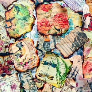 Könnte beinhalten: Eine Collage aus Papierauschnitten im Vintage-Stil mit verschiedenen Designs. Einige zeigen Rosen, Noten, Libellen, Vögel und nautische Themen. Die Papierränder haben ein verbranntes, gealtertes Aussehen, was ihnen eine rustikale Ästhetik verleiht.