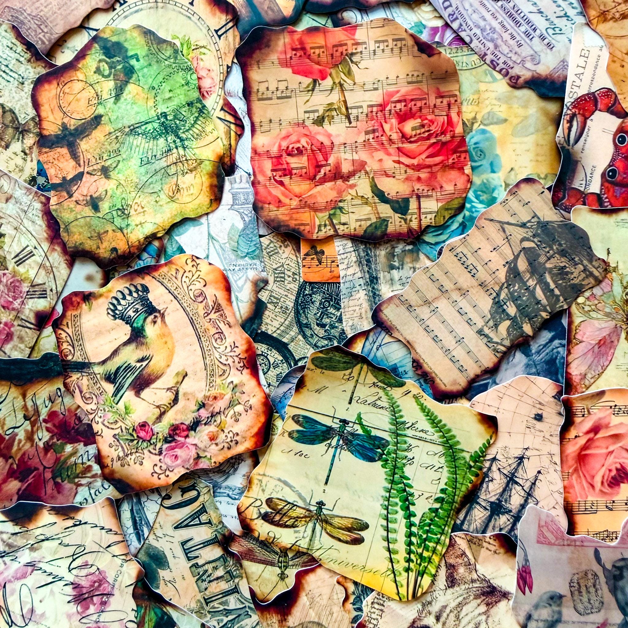 Visual Edge Sticker 50PCS Burnt Edge Stickers Pack, Vintage Ephemera Collage Stickers ...