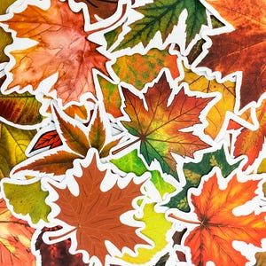 Könnte beinhalten: Eine Sammlung bunter Blätteraufkleber in Rot-, Orange-, Gelb- und Grüntönen. Die Aufkleber haben einen weißen Rand und zeigen verschiedene Blattformen, ideal für herbstliche Bastelarbeiten und Dekorationen.