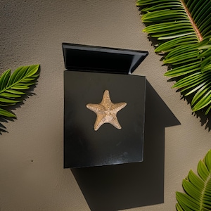 May include: A black mailbox with a gold starfish design. The mailbox has a hinged top and is mounted on a wall.