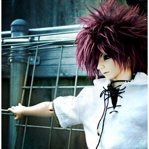May include: A doll with long, spiky, purple hair wearing a white shirt with a black lace-up neckline. The doll is holding onto a metal fence.