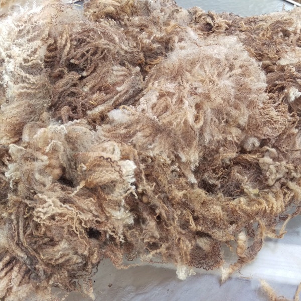 Lamb Bfl first clip ewe raw wool per lb from lady mud pie the lamb that loved to lay by the stream Actually beautiful crimp