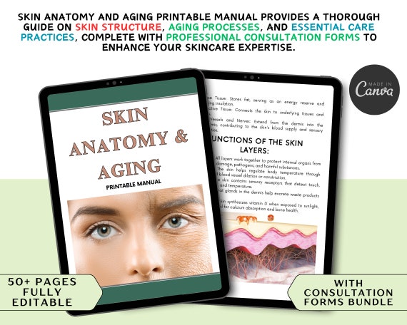 Skin Anatomy & Aging Printable Manual: Skincare Guide (Canva Editable)