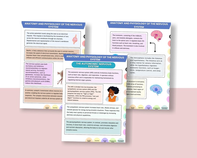 May include: Three educational posters detailing the anatomy and physiology of the nervous system. The posters cover topics such as the autonomic nervous system, with diagrams and text. The colour scheme includes blue, pink, and white, providing a clear visual aid.