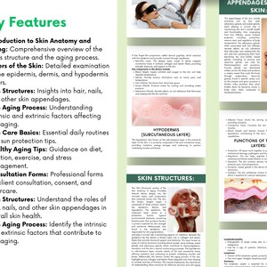 Op de afbeelding: Een kleurrijke infographic over de huid, de lagen ervan en het verouderingsproces. De infographic bevat illustraties van de huidstructuur, de hypodermis en huidaanhangsels. De tekst benadrukt belangrijke kenmerken van de huidanatomie en veroudering, waaronder de basisprincipes van huidverzorging, tips voor gezond ouder worden en consultformulieren.