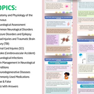 May include: Educational infographic about the nervous system, with diagrams and text. Topics include anatomy, neurological disorders, and treatments. The image has a white background with colourful illustrations and text.