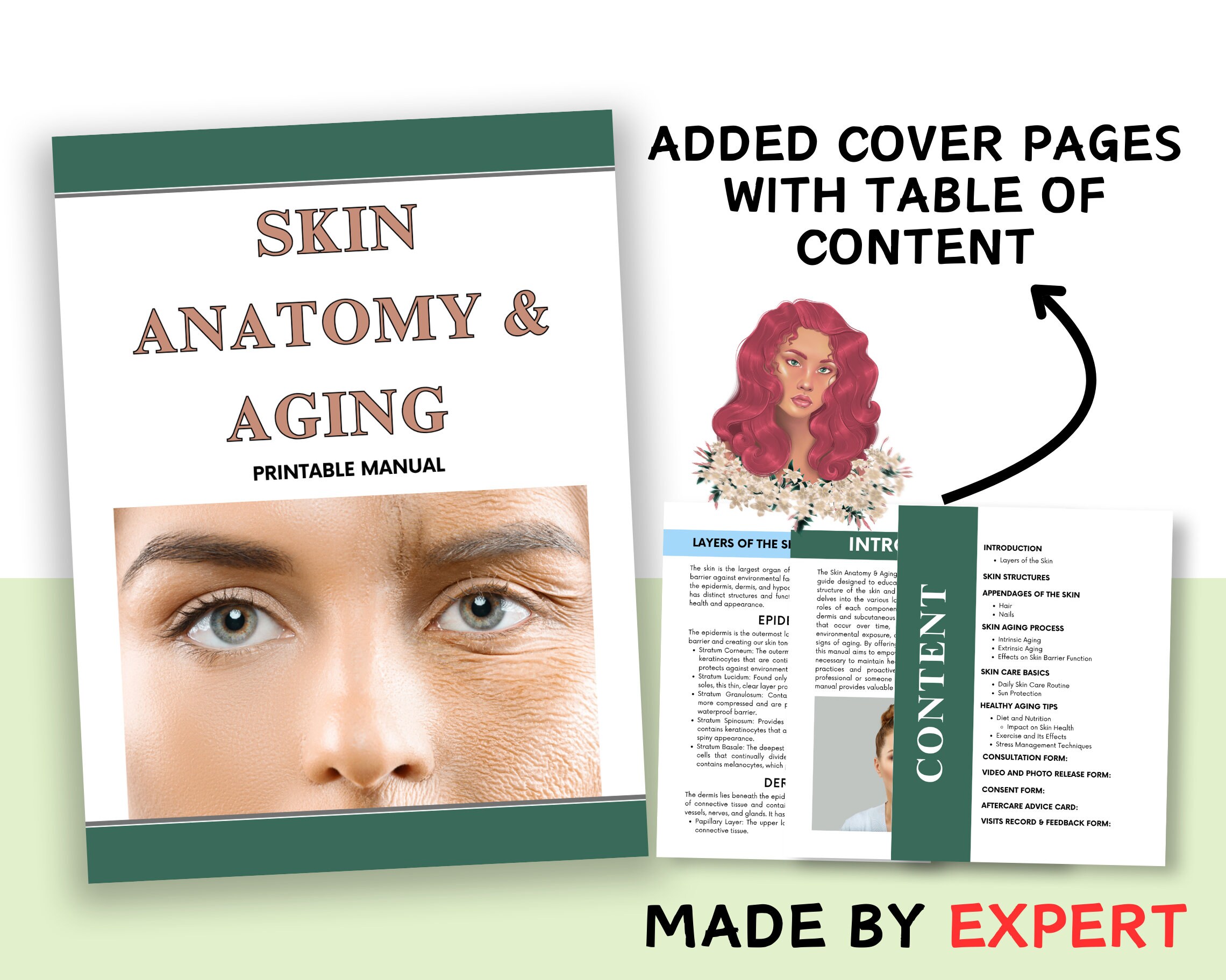 Skin Anatomy & Aging Printable Manual: Skincare Guide (canva Editable ...