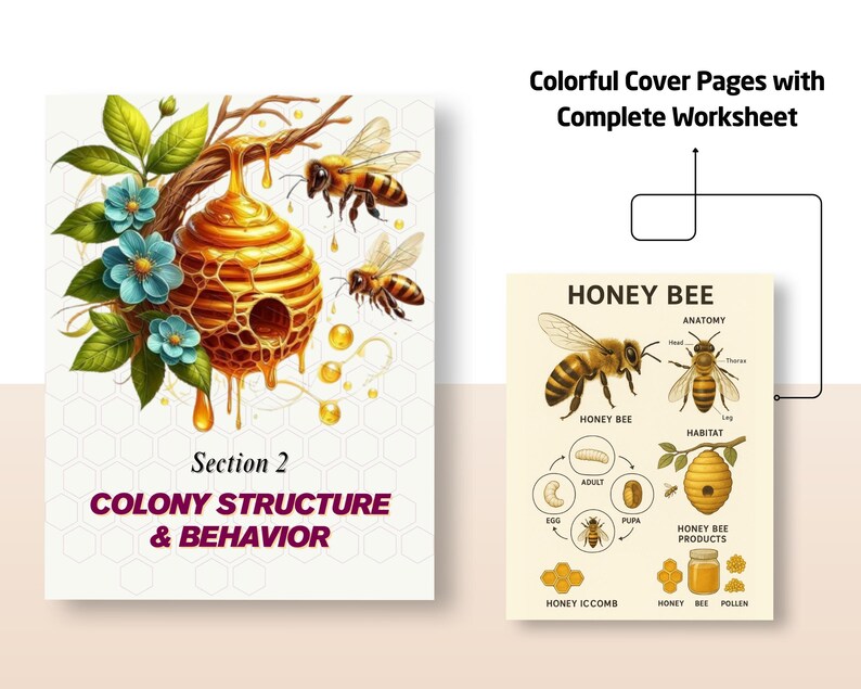 Honey Bee Unit Study | Life Cycle, Anatomy, Nature Journal (PDF) - Etsy