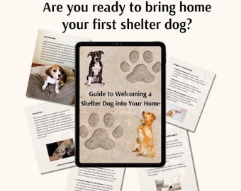 Guide To Welcoming A Shelter Dog Into Your Home