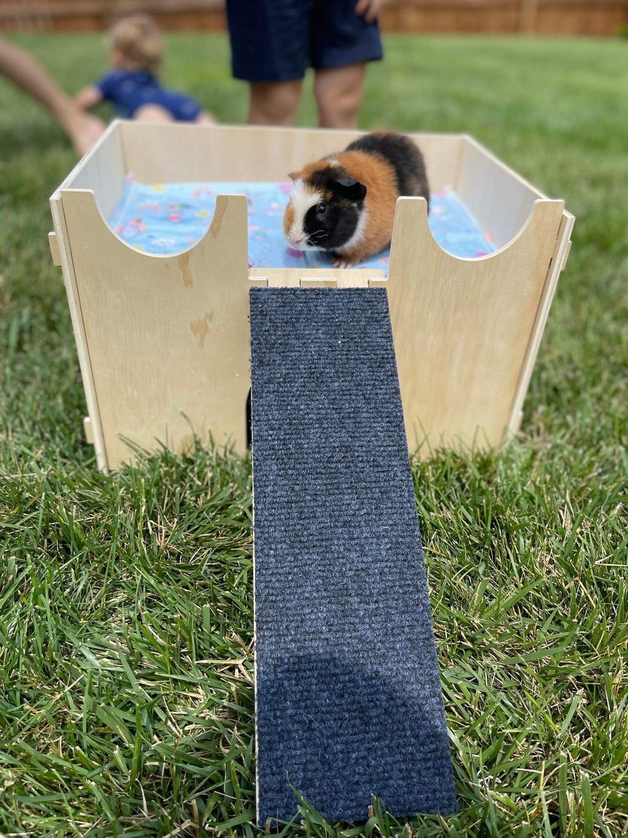 Image showcasing Guinea Pig Hideout for Small Pets - Etsy