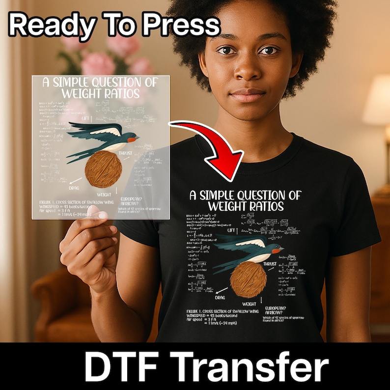 Monty Python Funny Science DTF Transfer for Nerd Group Apparel, Ready To Press Swallow Coconut Joke T-shirt for Fans Bild 1