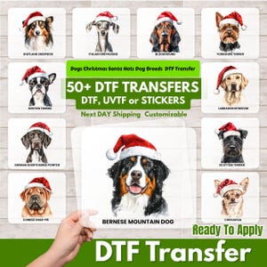 Op de afbeelding: Een verzameling DTF (Direct to Film) transfers met verschillende hondenrassen met kerstmutsen. Rassen zijn onder meer Shetland Sheepdog, Italiaanse Greyhound, Bloodhound, Yorkshire Terrier, Boston Terrier, Labrador Retriever en anderen. De tekst luidt "50+ DTF TRANSFERS" en "Ready To Apply".