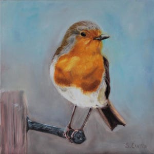 European Robin I 10&quot;x10&quot; I Oil on Panel