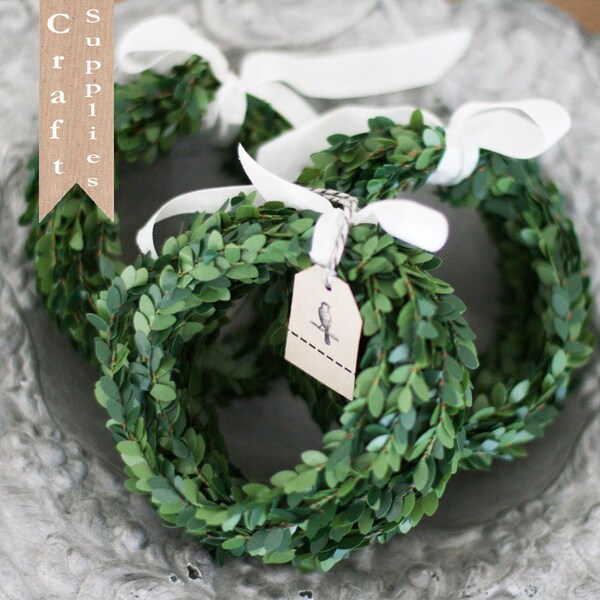 Petit Leaf Boxwood Garland 7.5 ft