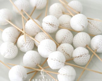 White Tissue Honeycomb Ball Picks - Cupcake topper Tissue Paper Pompom