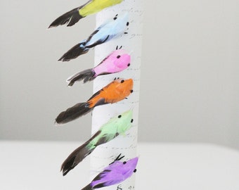 Set of 12 Feathered Birds/DIY/Spring