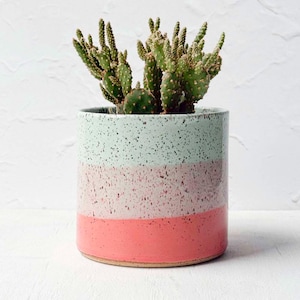 May include: A cylindrical ceramic planter featuring three horizontal color bands in mint green, pale pink, and coral red, all with a dark speckled finish. A small green prickly pear cactus with multiple flat, oval-shaped pads grows inside.