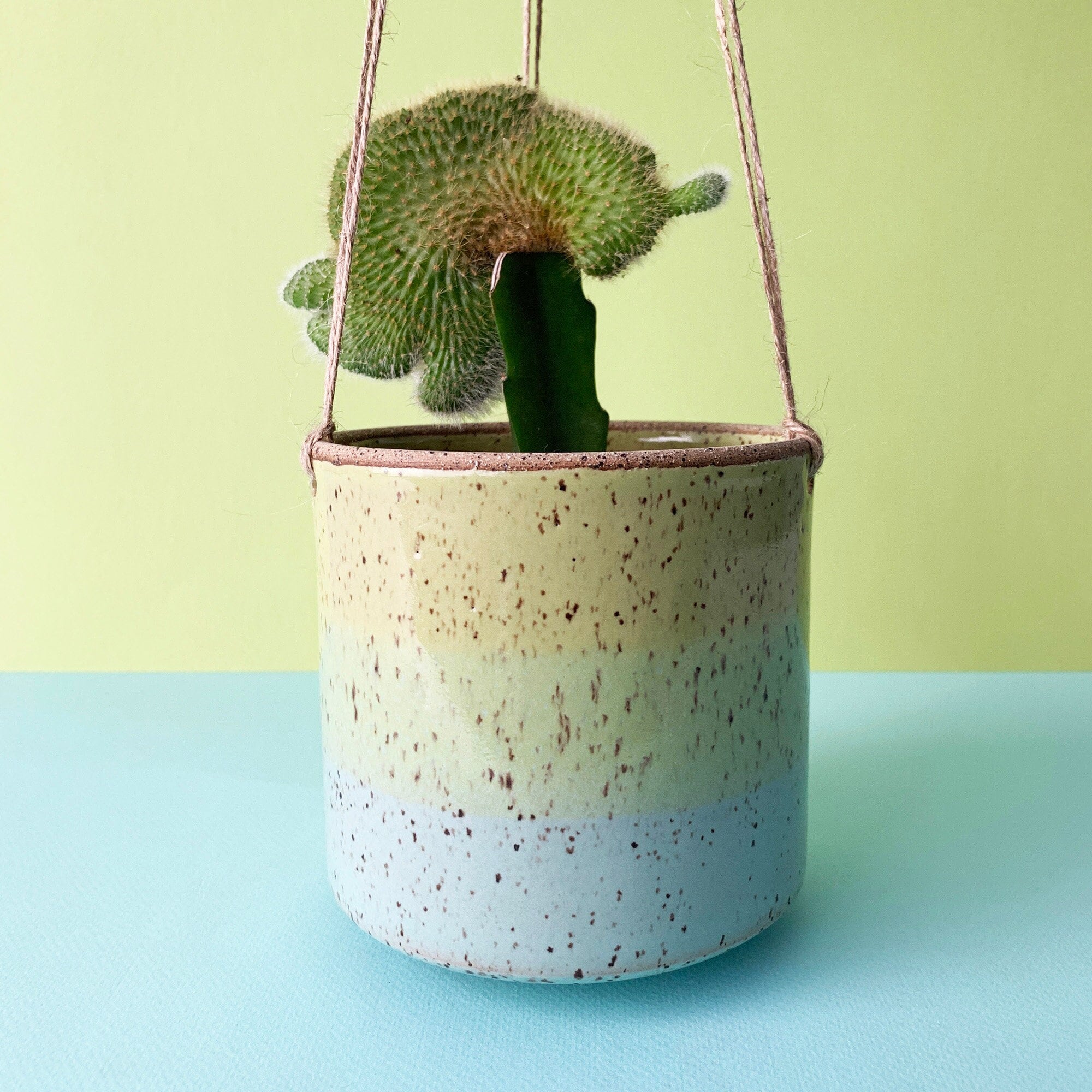 anthurium andr mix Pink Mix Anthurium - DIY Flowers