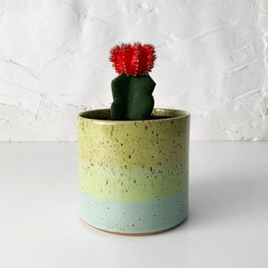 Handmade Stoneware Planter, Modern Speckled Stoneware image 5