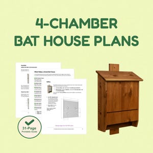 4-Kammer-Fledermaushaus | 31 "Hoch × 20" Breit | Bewährtes Mehrkammer-Design | PDF Pläne