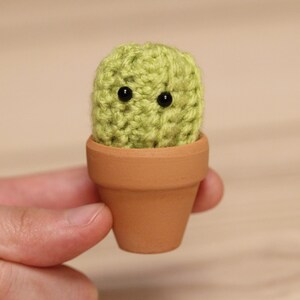 Amigurumi Crochet Pattern (PDF in English): Crochet Cactus, Crochet Succulent, Amigurumi Cactus, Crochet Plant, Crochet Housewarming Gift