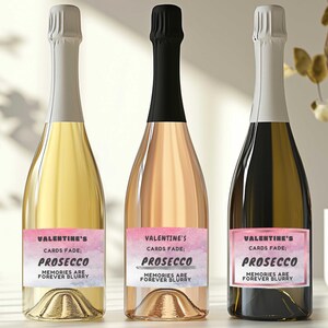 Étiquette de vin sarcastique de la Saint-Valentin, étiquette de bouteille de vin drôle imprimable, téléchargement immédiat pour la Saint-Valentin, cadeau de Saint-Valentin, 5 modèles