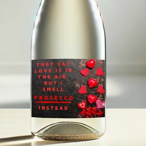 Étiquette de vin sarcastique de la Saint-Valentin, étiquette de bouteille de vin drôle imprimable, téléchargement immédiat pour la Saint-Valentin, cadeau de Saint-Valentin, 5 modèles