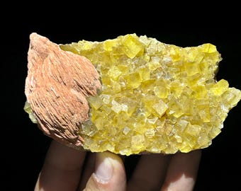 UV-Reactive Yellow Fluorite with Orange Barite – Sidi Saïd, Midelt, Morocco – Raw Natural Mineral Specimen – 11.2 × 6.4 × 4 cm – 402 g