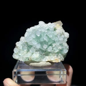 May include: A cluster of pale mint green fluorite crystals with translucent, cubic formations. The mineral specimen features a jagged, crystalline surface texture with small white accents and sits atop a clear, square acrylic display stand.