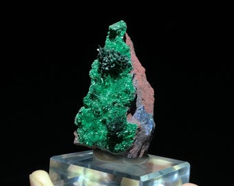 外国産鉱物標本　マイクロマウント標本　3点セット ブロシャンタイト鉱物標本：米国カリフォルニア州産マトリックス