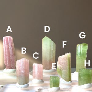 Watermelon, Pink and Green tourmaline from Brazil