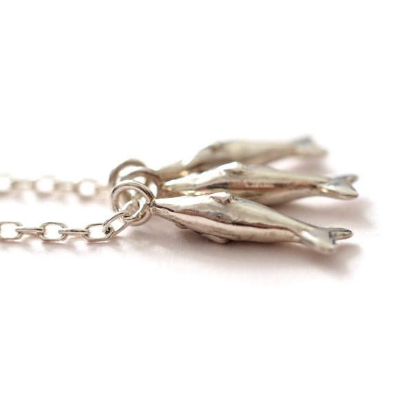 sardine ring