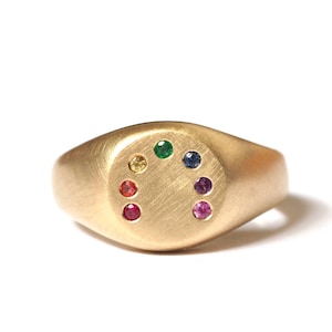 Rainbow Signet Ring in Gold, Sapphires, Emerald and Ruby image 5