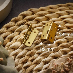 May include: Two small, brass-colored hinges, each with three holes for screws, are displayed on a woven, light brown surface. The hinges measure 24 mm by 16 mm. The background includes a decorative element and dried flowers.