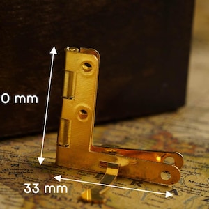 Op de afbeelding: Goudkleurig metalen scharnier met twee zichtbare schroeven. Het scharnier is 30 mm hoog en 33 mm breed.
