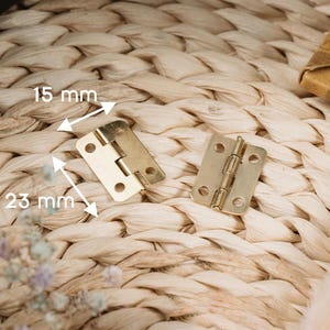 Elegant Support Hinges 23x15mm for Crafting Projects / Classic Small Brass Door Hinge / Modern Hinge for Boxes and Frames / Durable Hardware