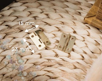 Elegant Support Hinges 23x15mm for Crafting Projects / Classic Small Brass Door Hinge / Modern Hinge for Boxes and Frames 10 pcs.