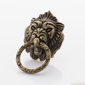 May include: A bronze lion head door knocker with a ring pull. The lion's face is detailed with a mane and whiskers.
