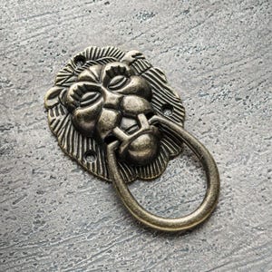 Pode incluir: Uma puxador de porta de cabeça de leão de bronze com uma alça de anel. O rosto do leão é detalhado com uma juba e uma superfície texturizada.