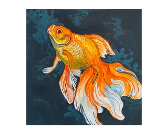 Swimming Goldfish still life 6X6 Print