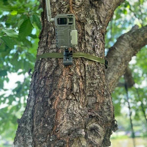 May include: A gray and black wildlife camera with an antenna attached to a tree trunk. The camera is secured with a green strap.