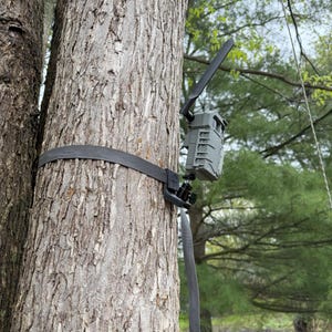 Op de afbeelding: Een grijze wildcamera met een zwarte antenne is met een zwarte band aan een boomstam bevestigd. De camera is lichtjes naar boven gericht.