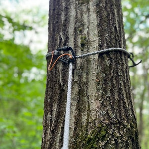 May include: A close-up of a tree trunk with a black and orange rope tied around it. A black carabiner is attached to the rope.